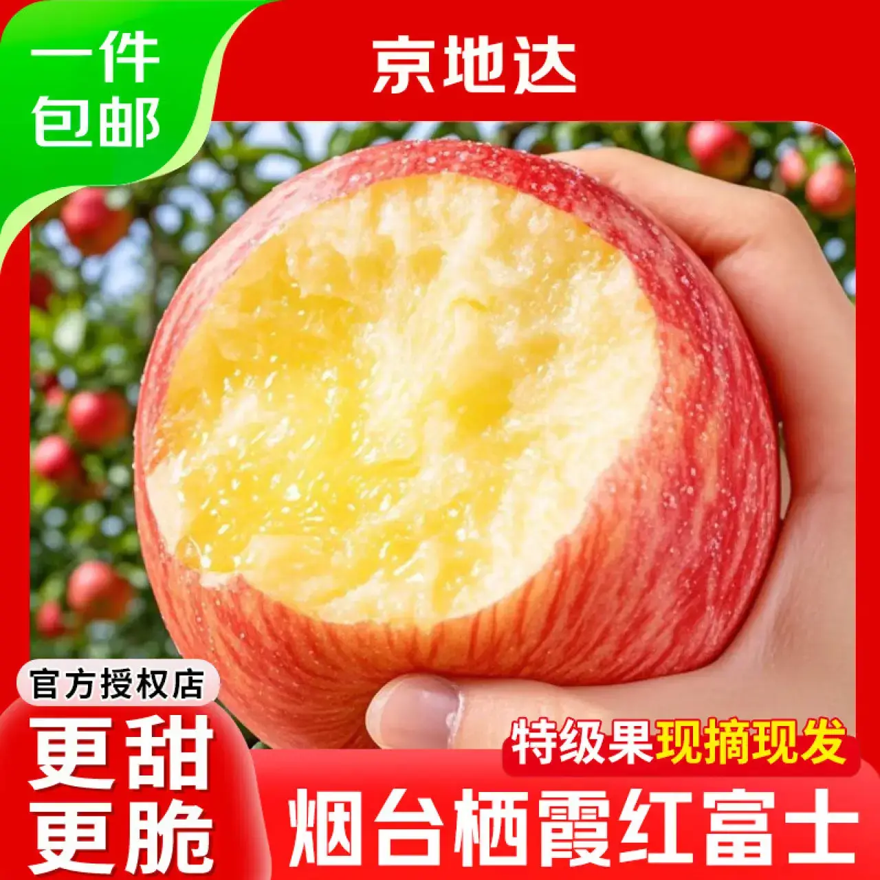 京地达山东烟台苹果栖霞红富士苹果水果净重9斤单果80mm+源头直发包邮